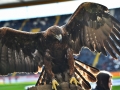 DSC_6448 | © eel-fotografie