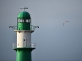 Darß_Zingst_2016_003 | © eel-fotografie
