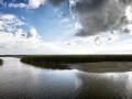 Darß_Zingst_2016_016 | © eel-fotografie