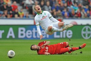 eel-fotografie|fotografie - bildagentur