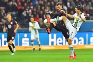 eel-fotografie|fotografie - bildagentur